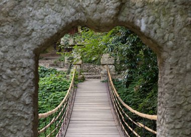 Yeşil arasında asılı Ahşap köprüye park orman kemer geçitten yürümek