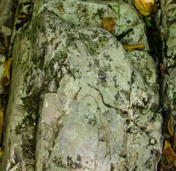 White Stone Rock Boulder Covered Moss Uneven Pristine Natural — Stock Photo, Image