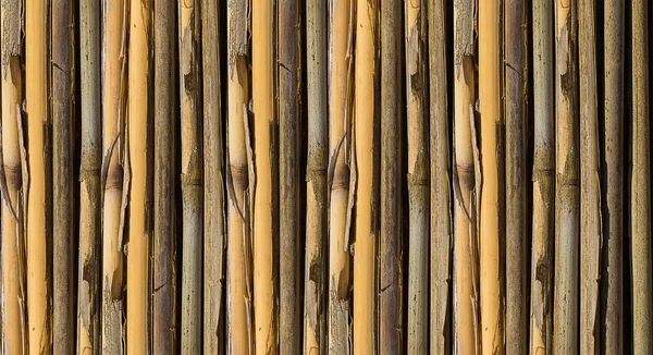 Luz Natural Cerca Parede Bambu Textura Bio Iluminada Com Luz — Fotografia de Stock