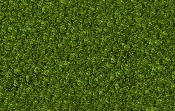 Фон Зелений Натуральний Подрібнений Мелений Кріп Свіжа Апетитна Основа — стокове фото