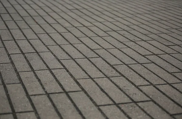 明確なライン Perpetivami と灰色の狭い長方形のタイルのクローズ アップ — ストック写真