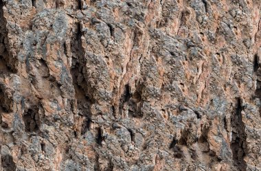 Clefts ve eşitsizlik bej gri belirgin deseni ile Taş dokusu