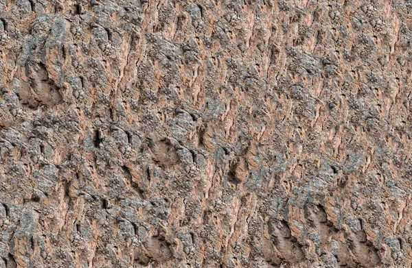 Textura Fondo Piedra Marrón Desigual Áspero Los Canales Dibujo Interesante —  Fotos de Stock