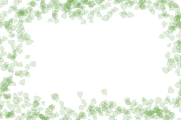 Рамка Прозрачных Зеленых Листьев Легко Летом Настроение Открытки — стоковое фото