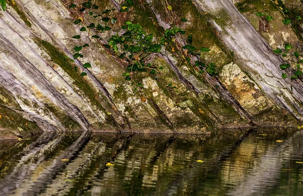 Monolithische muur van rots bedekt met mos en ivy weerspiegeld in het water van de lake river — Stockfoto