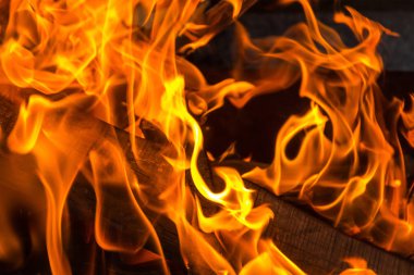 Parlak yangın alev turuncu dilleri yakacak odun yakın çekim absorbe