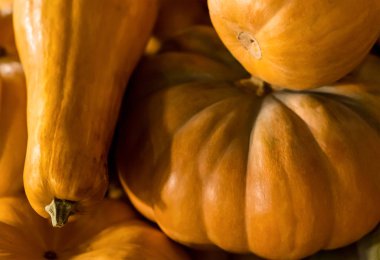 Muscat turuncu kabak düz bir close-up üzerinde. Uzun meyve tatlı kokulu