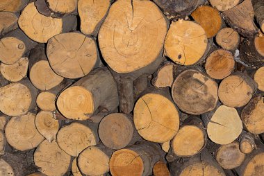 doku woodpile yakacak odun gövde çam doğal arka plan yuvarlak uykuda yıllık halkalar