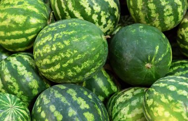 karpuz kazık sonbahar arka planlar lezzetli Berry, doğal çiçek desenli kümesi