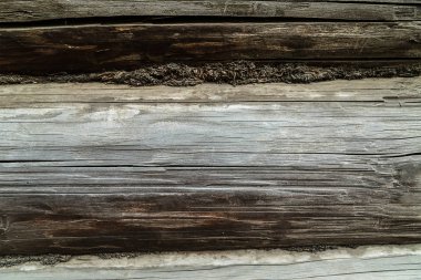 ahşap arka plan doku, gri günlük çatlamak öğe duvar rustik temel web tasarım