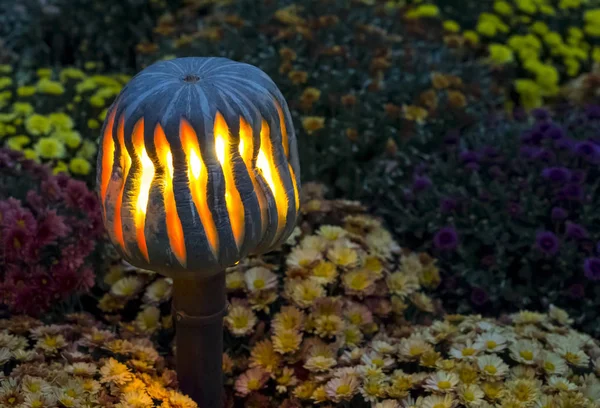 Büyülü Fener Dekorasyon Bir Sonbahar Tatil Için Cadılar Bayramı Bir — Stok fotoğraf