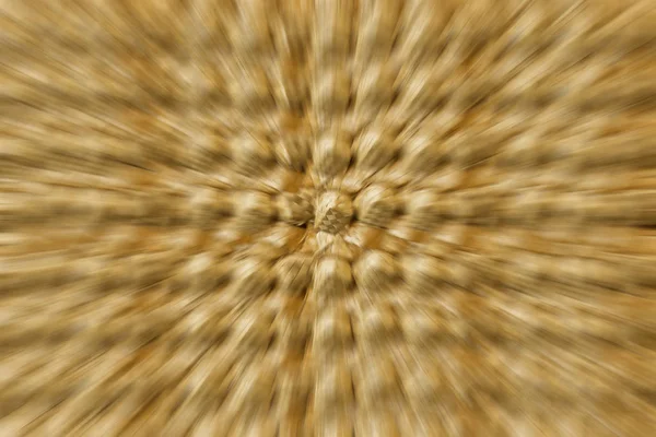 Geflochtene Muster Hintergrund Stroh Birkenfaser Speck Weidenkorb Rustikales Thema — Stockfoto