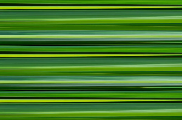 Fondo Verde Líneas Amarillas Textura Horizontal Hoja Naturaleza Patrón —  Fotos de Stock