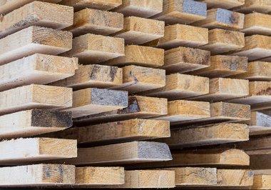 Ambar yapı malzemeleri Ladin açık bej renkli desen yakın çekim kurulu