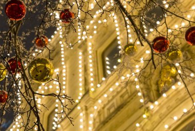 büyük kahverengi koniler ile Ladin şube kartpostal mevsimlik tasarım Noel ve yeni yıl için tasarımı için temel