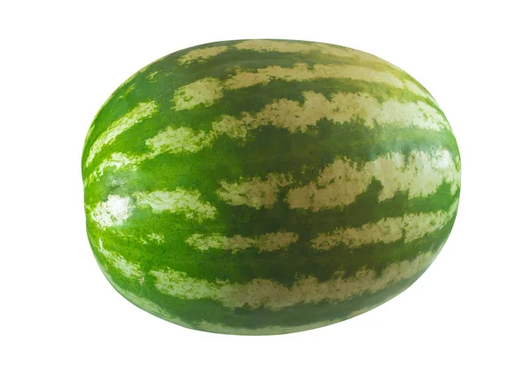 Stor Vattenmelon Hela Frukten Vit Bakgrund Säsongens Frukt Symbol För — Stockfoto