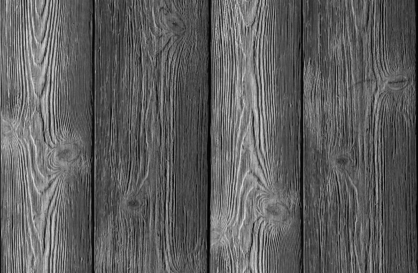Background Texture Tree Gray Board Vertical Monochrome Natural Pattern — Stock Photo, Image
