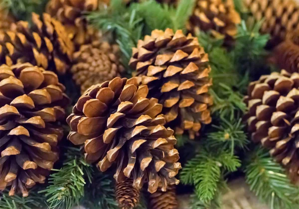 Decoração Tradicional Das Decorações Natal Ano Novo Grande Cone Abeto — Fotografia de Stock