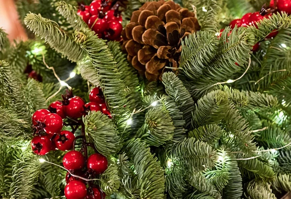 明るいクリスマス背景赤で飾られたクリスマス ツリーの緑の枝を密ベリー ホリーとコーンのお祭りの背景 — ストック写真