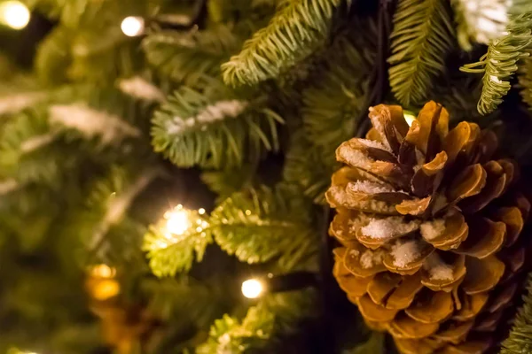 大きな茶色のコーンとスプルースの枝は クリスマスと新年の季節限定デザインのポストカードのデザインのための基礎 — ストック写真