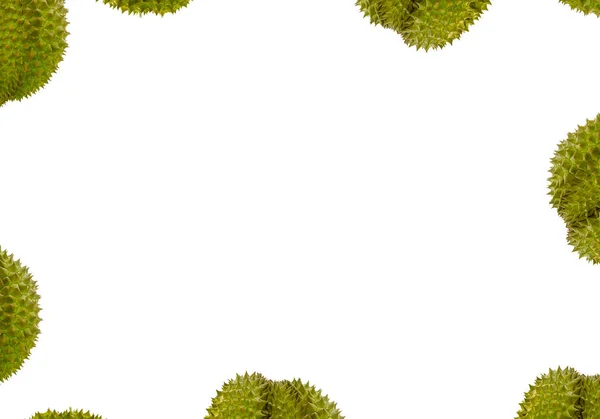 Durian Zelené Ostnaté Plody Královské Ovoce Vzor Část Plodu Bílém — Stock fotografie