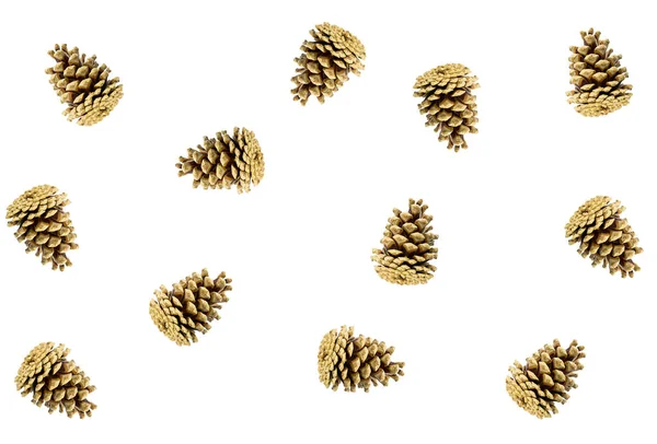 Tannenzapfen Ganz Braun Muster Der Flora Natürlichen Hintergrund Auf Weißem — Stockfoto