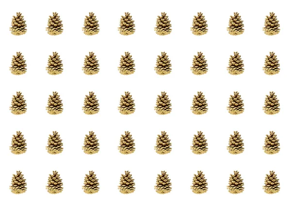 Row Brown Cones Cone Many Copies White Background Forest Pattern — Stock Photo, Image