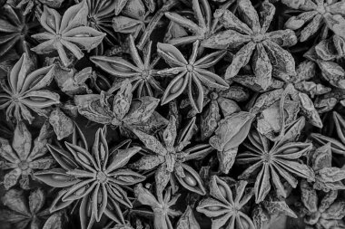 Renkli arkaplan yıldızı pekçok meyve, tatlılar için çeşnili