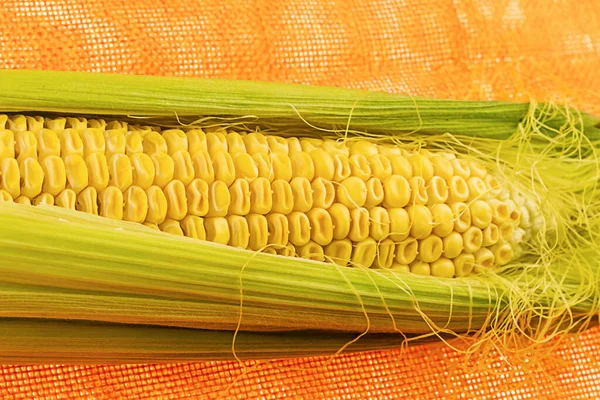 Свежий Желтый Початок Кукурузы Зеленых Листьях Крупным Планом Вкусный Овощ — стоковое фото
