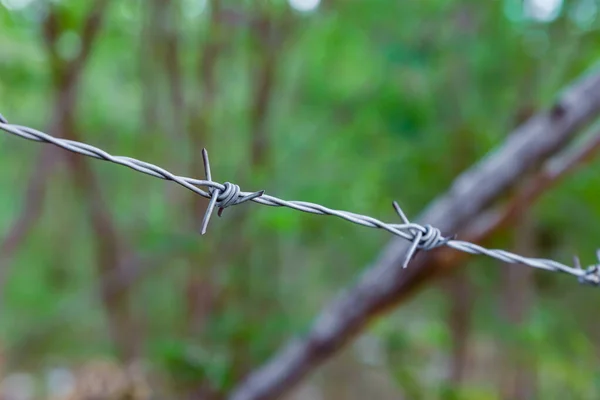 Ferro Arame Farpado Enferrujado Esticado Para Proteger Área Contra Fundo — Fotografia de Stock