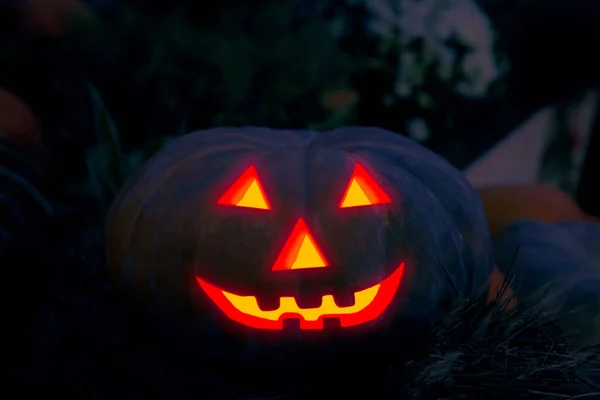 Halloween Semester Inredning Pumpa Jack Lykta Jack Skrämma Onda Andar — Stockfoto