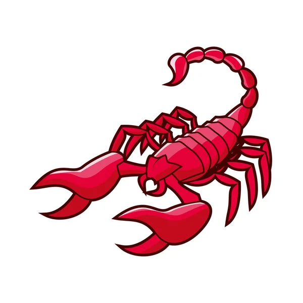 Desenho de ilustração escorpião vermelho — Vetor de Stock