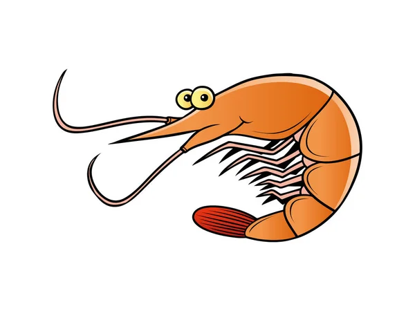 Desenho de ilustração de caráter de camarão —  Vetores de Stock