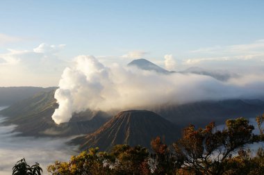 Mount Bromo, Doğu Java, Endonezya aktif bir yanardağ.