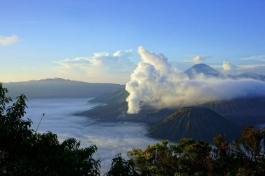 Mount Bromo, Doğu Java, Endonezya aktif yanardağ.