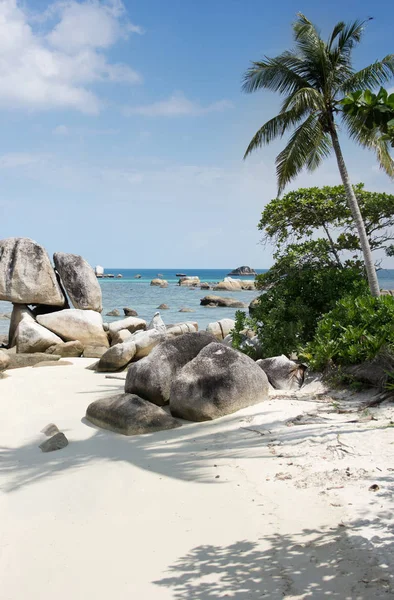 Formation rocheuse naturelle dans la mer et sur une plage de sable blanc avec un palmier dans l'île de Belitung . — Photo