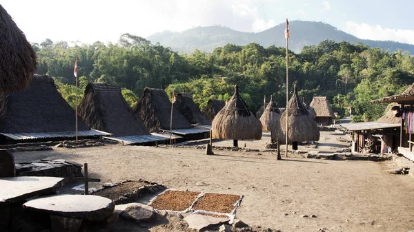 Bena un villaggio tradizionale con capanne di erba del popolo Ngada a Flores . — Foto Stock