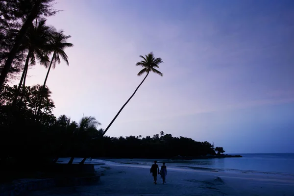 Couple in love walking on a purple blue colored sunset palm beach. — Stock Photo, Image