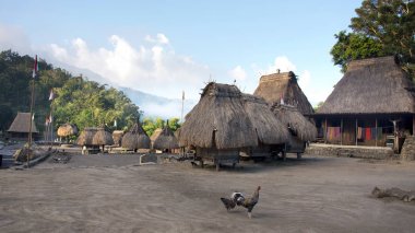 Bena a traditional village with grass huts of the Ngada people and two chickens. clipart