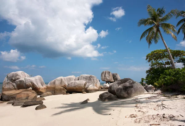 Formation naturelle de roches dans la mer et sur une plage de sable blanc avec un palmier à Belitung Island, Indonésie . — Photo