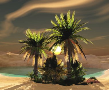 Çölde kum güzel vaha