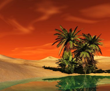 Çölde kum güzel vaha