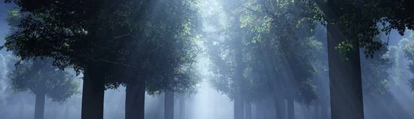 Bäume Nebel Der Rauch Wald Morgen Ein Nebliger Morgen Zwischen — Stockfoto