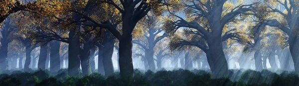 Árboles Niebla Humo Bosque Por Mañana Una Mañana Brumosa Entre —  Fotos de Stock