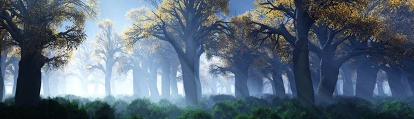 Árvores Nevoeiro Fumaça Floresta Pela Manhã Uma Manhã Enevoada Entre — Fotografia de Stock