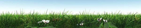 Grass banner with flowers, meadow and sky