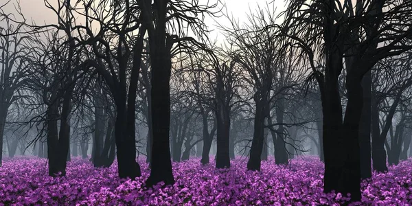 Дерева Болоті Весняний Сад Вранці Тумані Дерева Квітковому Ґрунті — стокове фото