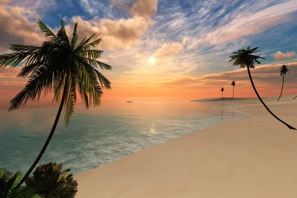 Sea sunset. Panorama. Palm trees against the sky.
