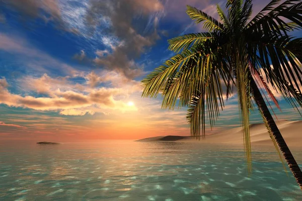 Sea Sunset Panorama Palm Trees Sky — 图库照片