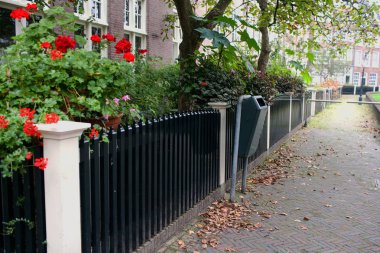 Amsterdam'ın sakin avluya